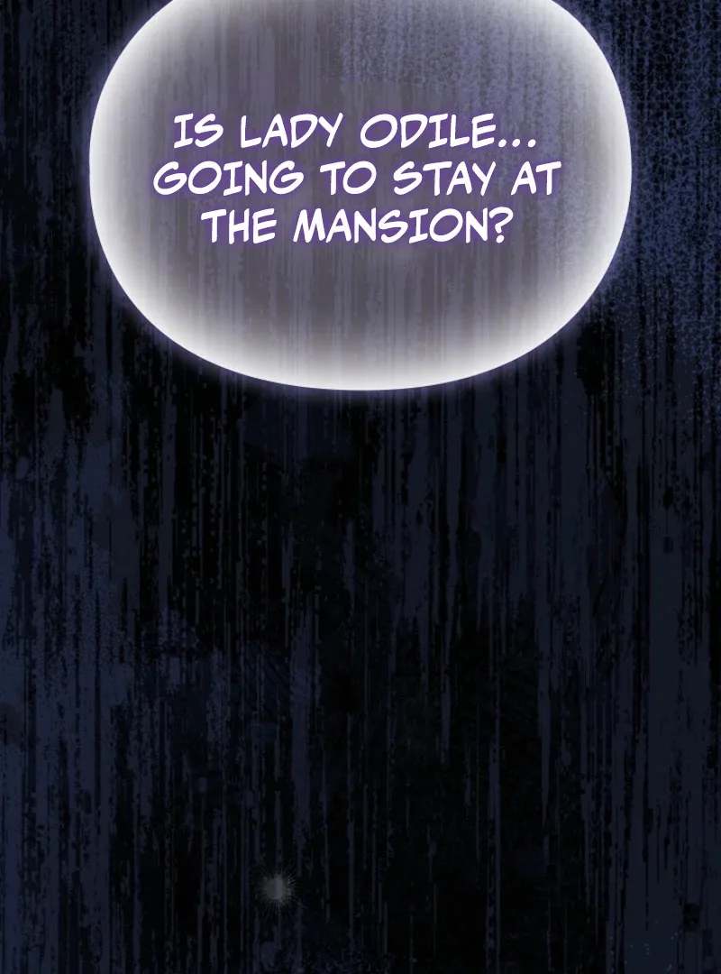 The Extra Decided to Be Fake Chapter 40 page 12