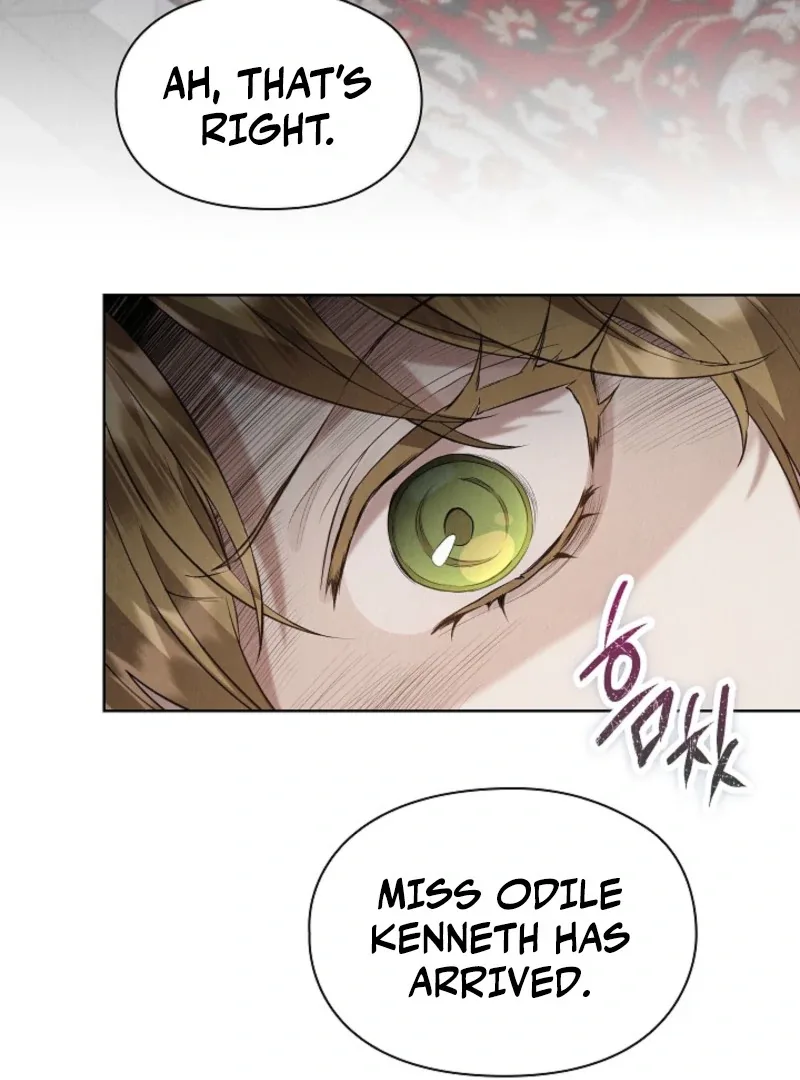 The Extra Decided to Be Fake Chapter 40 page 6