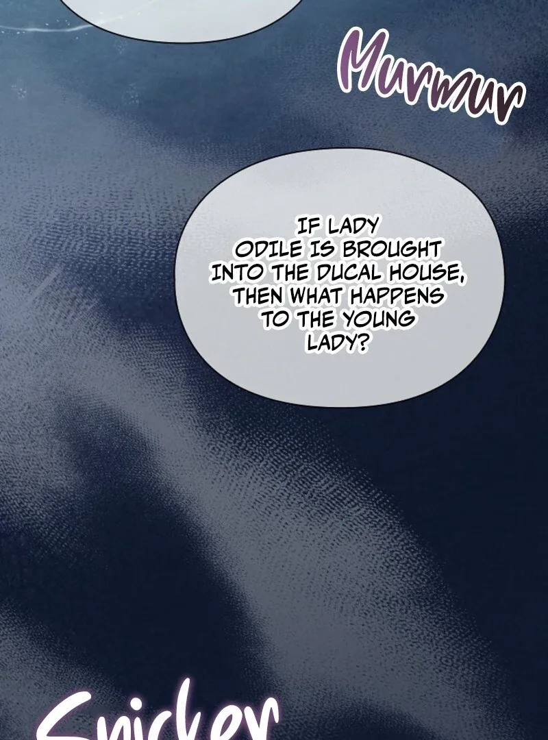 The Extra Decided to Be Fake Chapter 42.1 page 17
