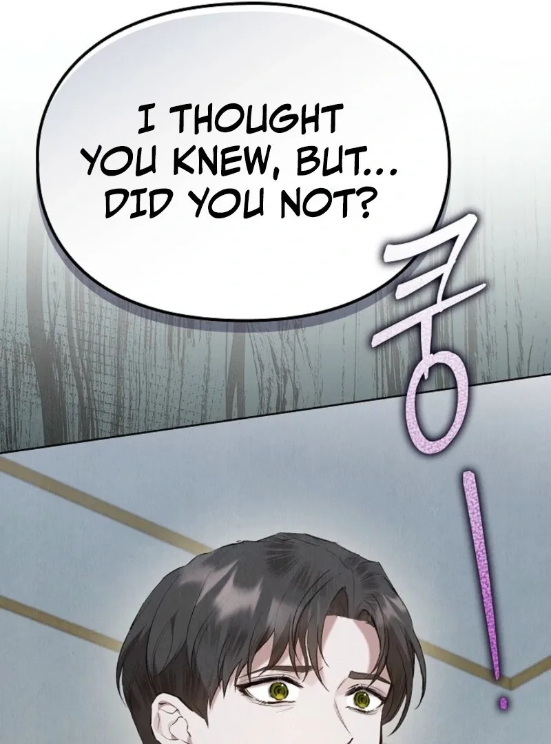 The Extra Decided to Be Fake Chapter 41.1 page 29