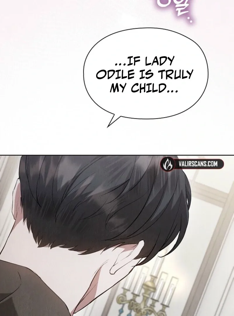 The Extra Decided to Be Fake Chapter 42.1 page 47