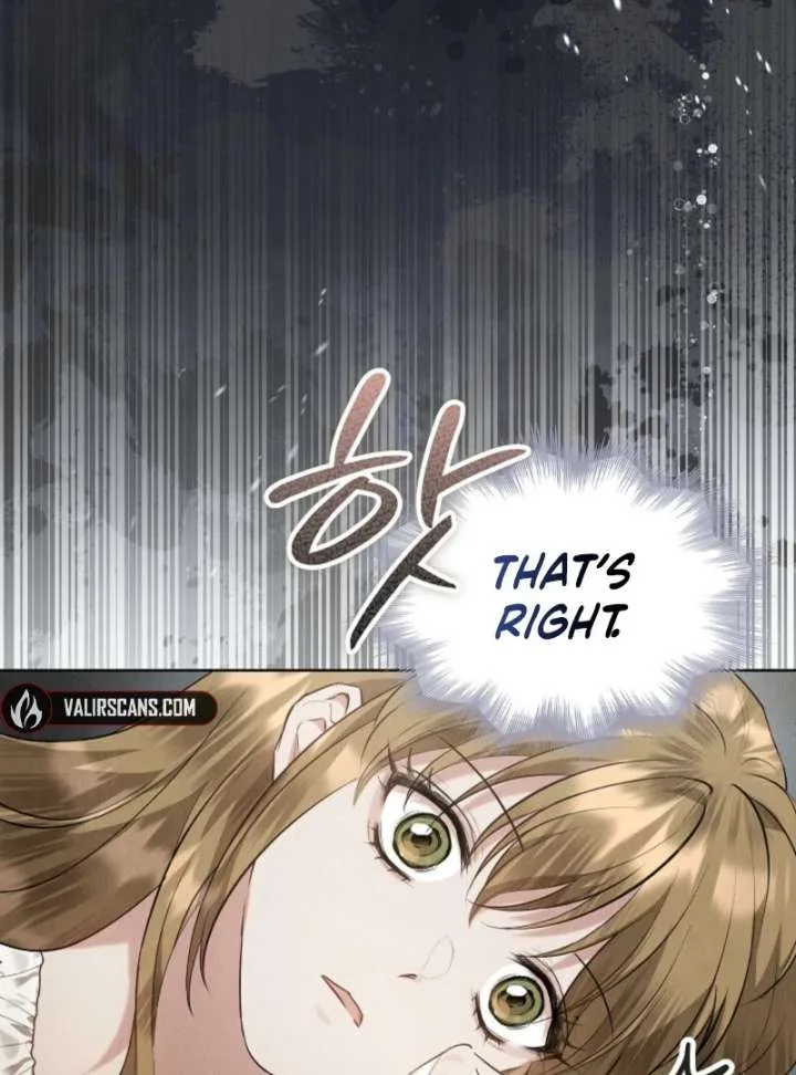 The Extra Decided to Be Fake Chapter 42.2 page 8