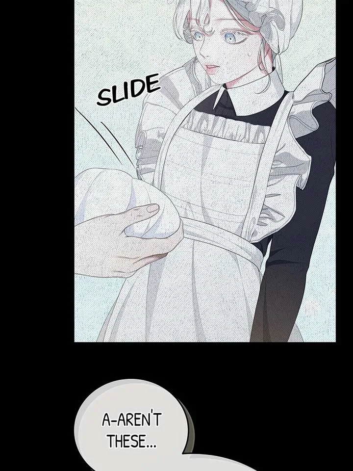 The Maid No Longer Desires her Master Chapter 56 page 65