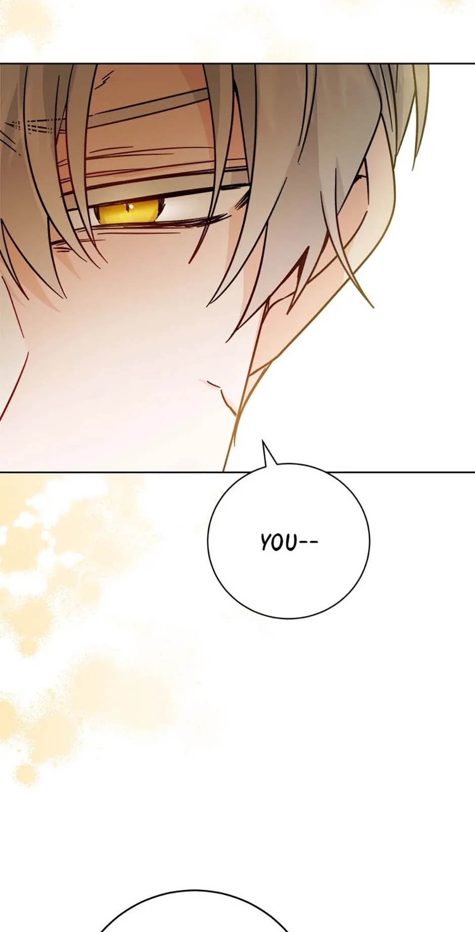 The Male Lead Is In Charge Of The Successor Chapter 70 page 64