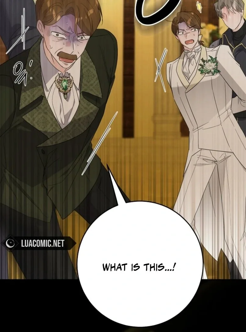 The Male Lead Is In Charge Of The Successor Chapter 96 page 95