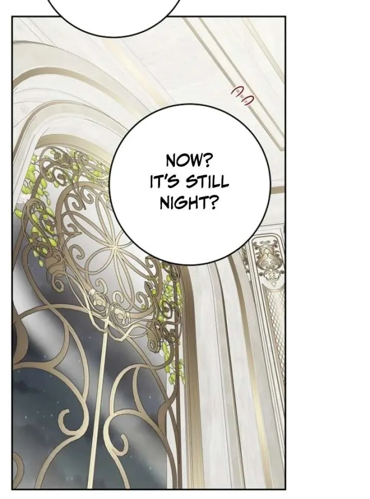 The Male Lead Is In Charge Of The Successor Chapter 100 page 71