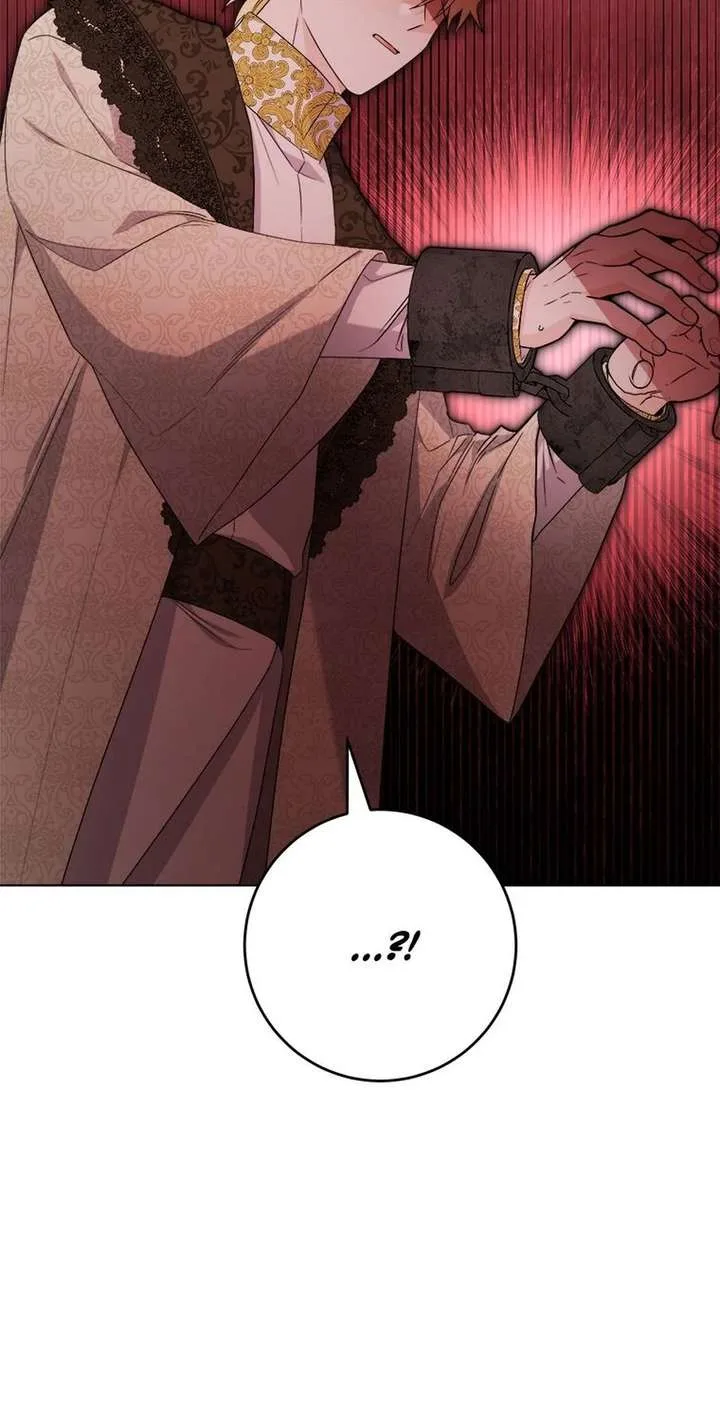 The Male Lead Is In Charge Of The Successor Chapter 106 page 29