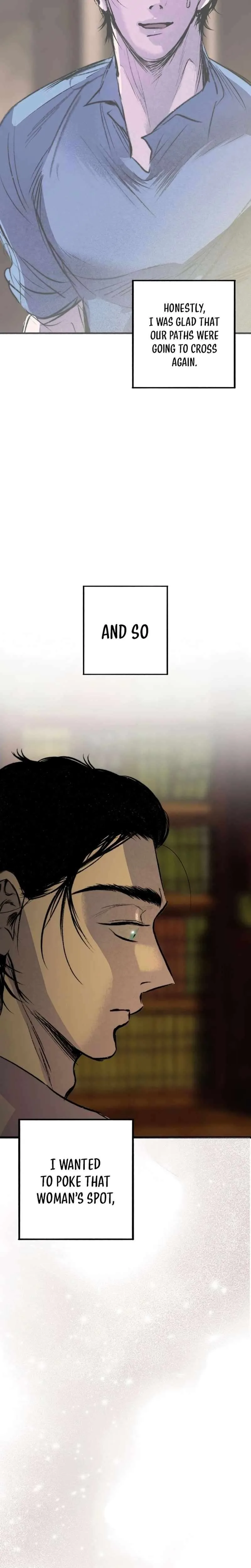 The Masked Revolution is Just for Your Sake Chapter 17 page 13