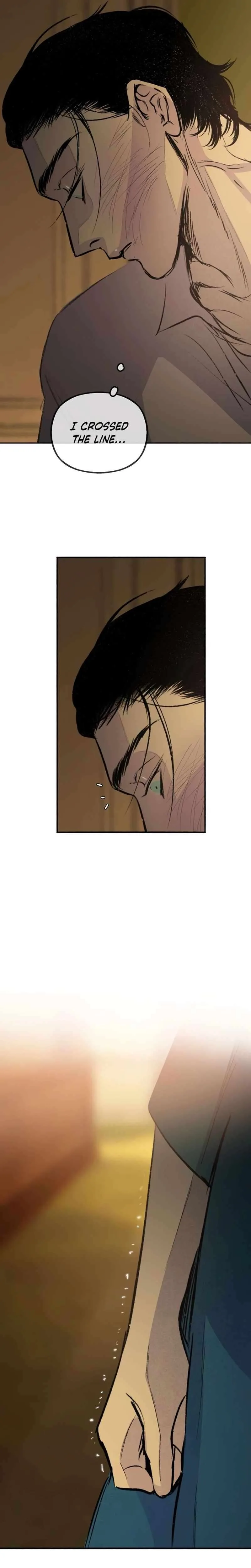 The Masked Revolution is Just for Your Sake Chapter 17 page 17