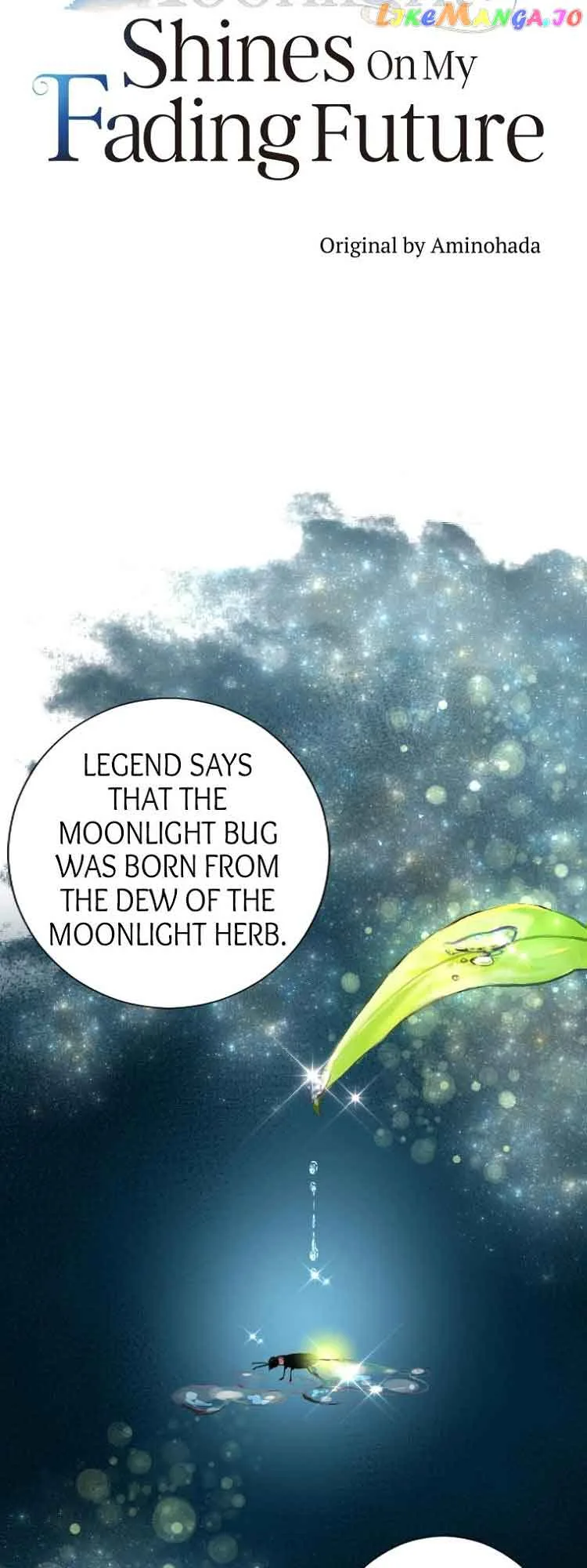 The Moonlight Shines On My Fading Future Chapter 11 page 10