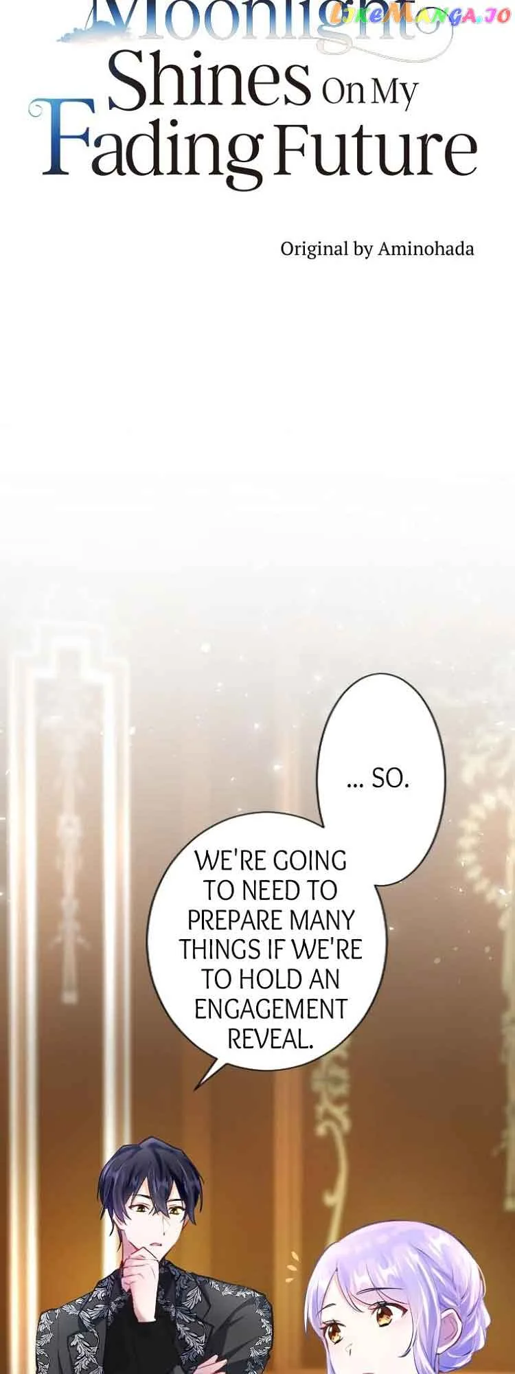 The Moonlight Shines On My Fading Future Chapter 15 page 17