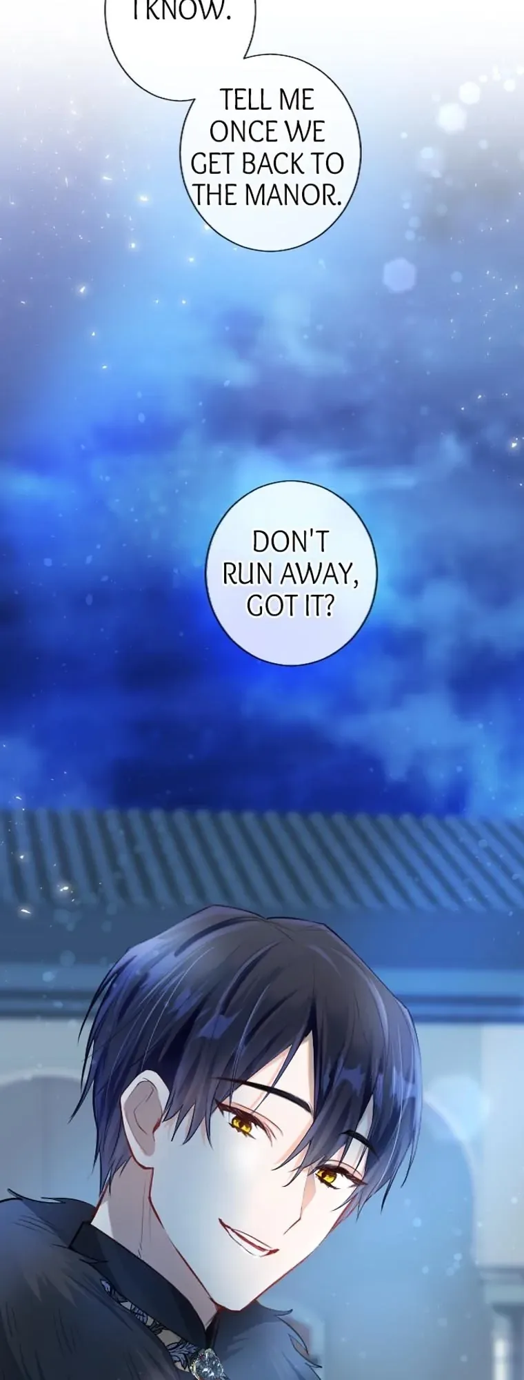 The Moonlight Shines On My Fading Future Chapter 22 page 4