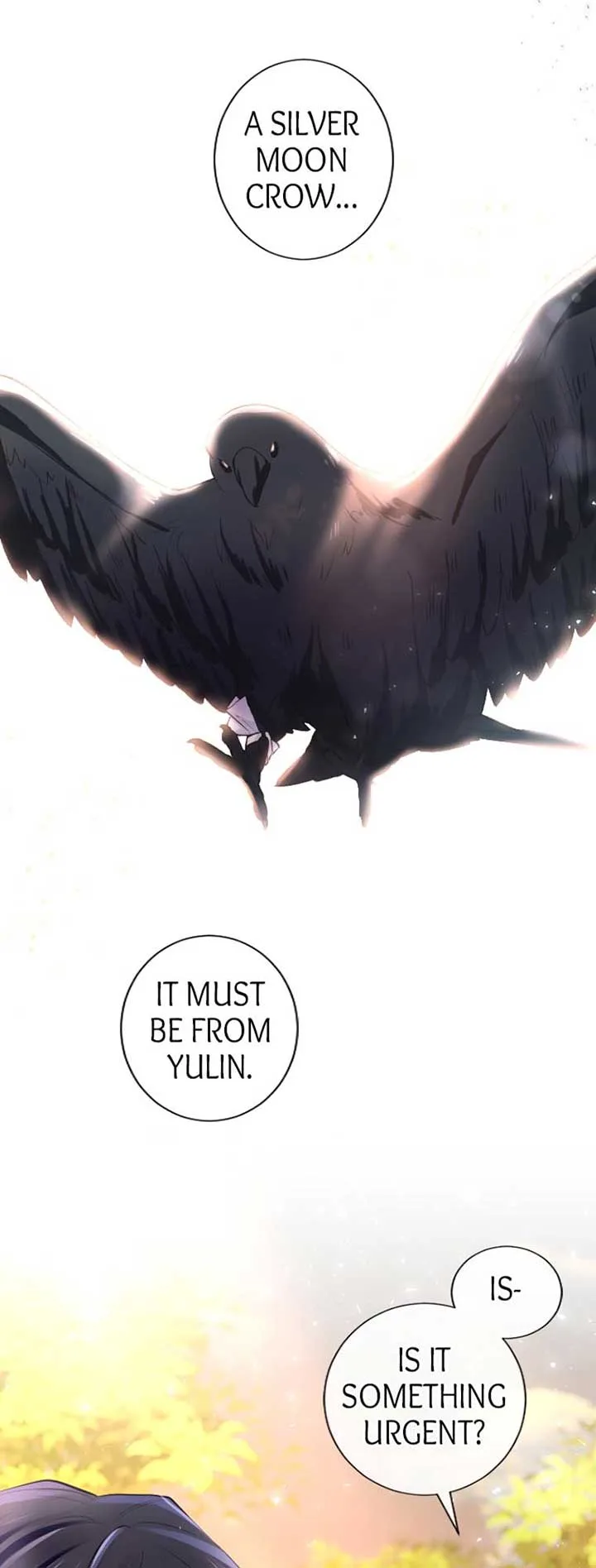 The Moonlight Shines On My Fading Future Chapter 35 page 43