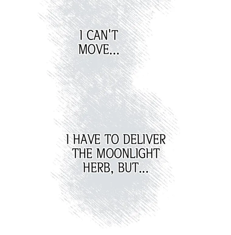 The Moonlight Shines On My Fading Future Chapter 58 page 24