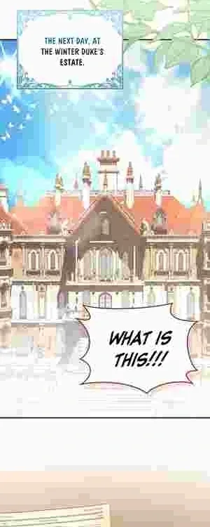 The Perfect Plan to Avoid the Death Ending Chapter 16 page 43