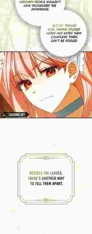 The Perfect Plan to Avoid the Death Ending Chapter 14 page 29