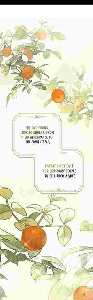The Perfect Plan to Avoid the Death Ending Chapter 14 page 27