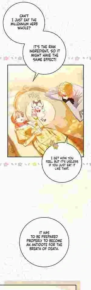 The Perfect Plan to Avoid the Death Ending Chapter 17 page 5
