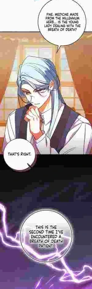 The Perfect Plan to Avoid the Death Ending Chapter 17 page 41