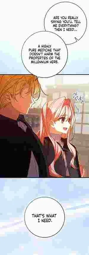 The Perfect Plan to Avoid the Death Ending Chapter 17 page 28
