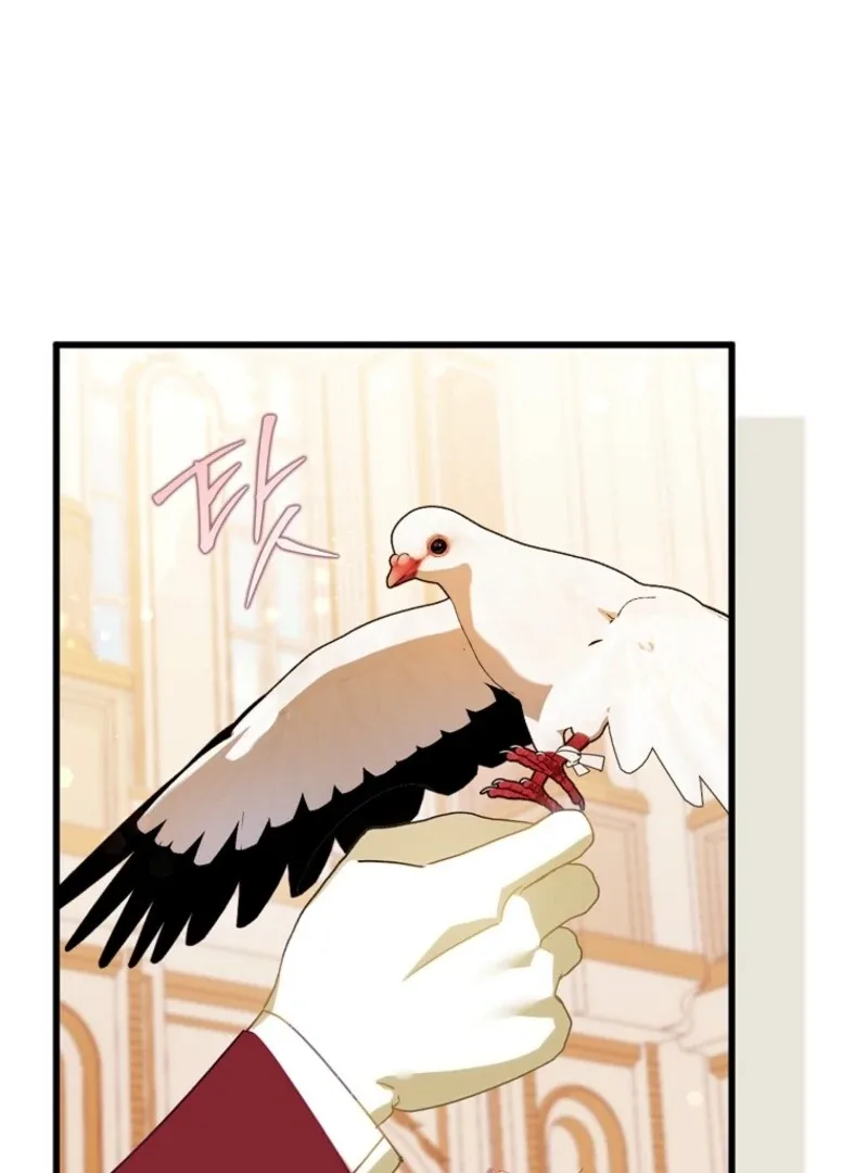 The Perfect Plan to Avoid the Death Ending Chapter 40 page 45