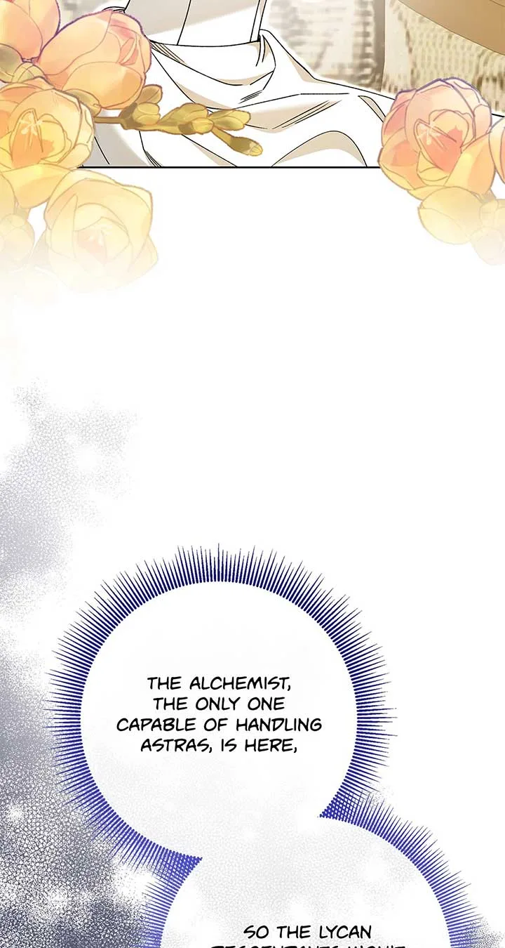 The Planned First Kiss Chapter 54 page 81