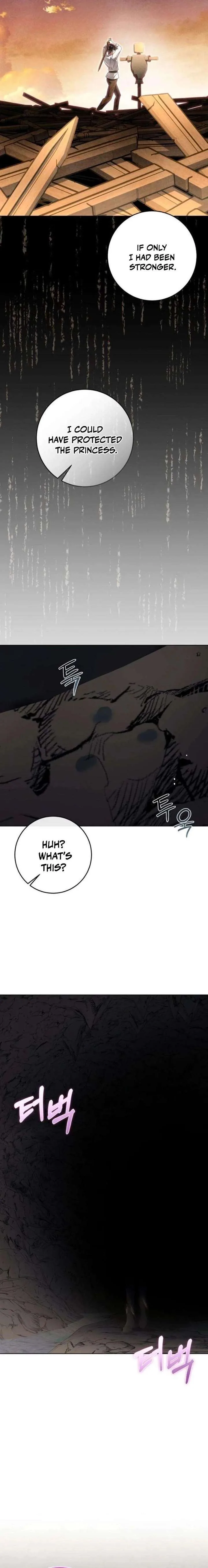 The Poisoned Goblet: The Princess Filled With Poison Chapter 26 page 10