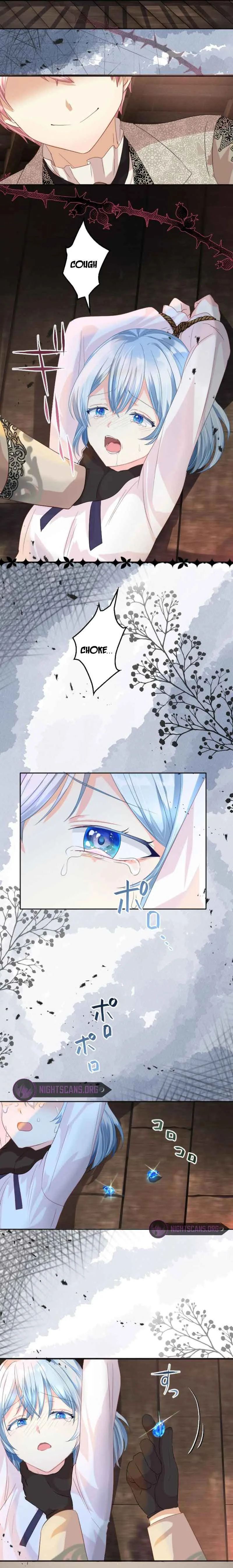 The Precious Girl Does Not Shed Tears Chapter 12 page 12