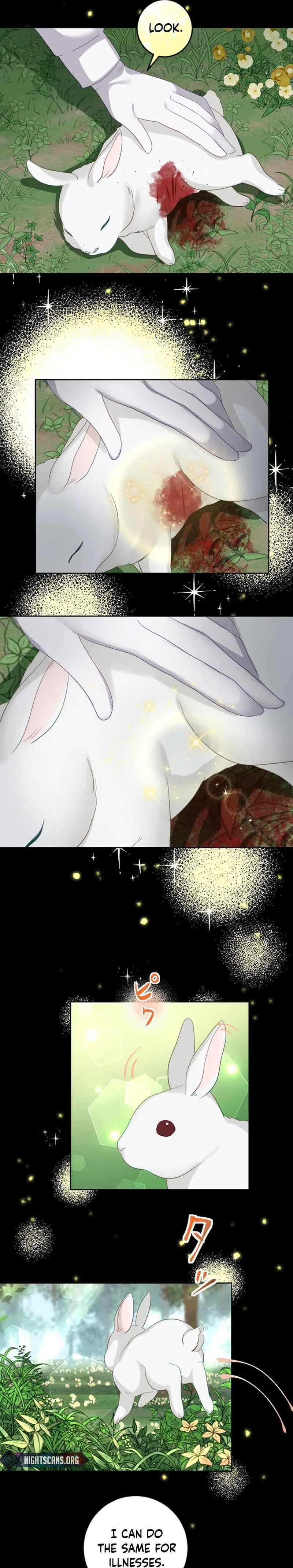 The Precious Girl Does Not Shed Tears Chapter 22 page 11