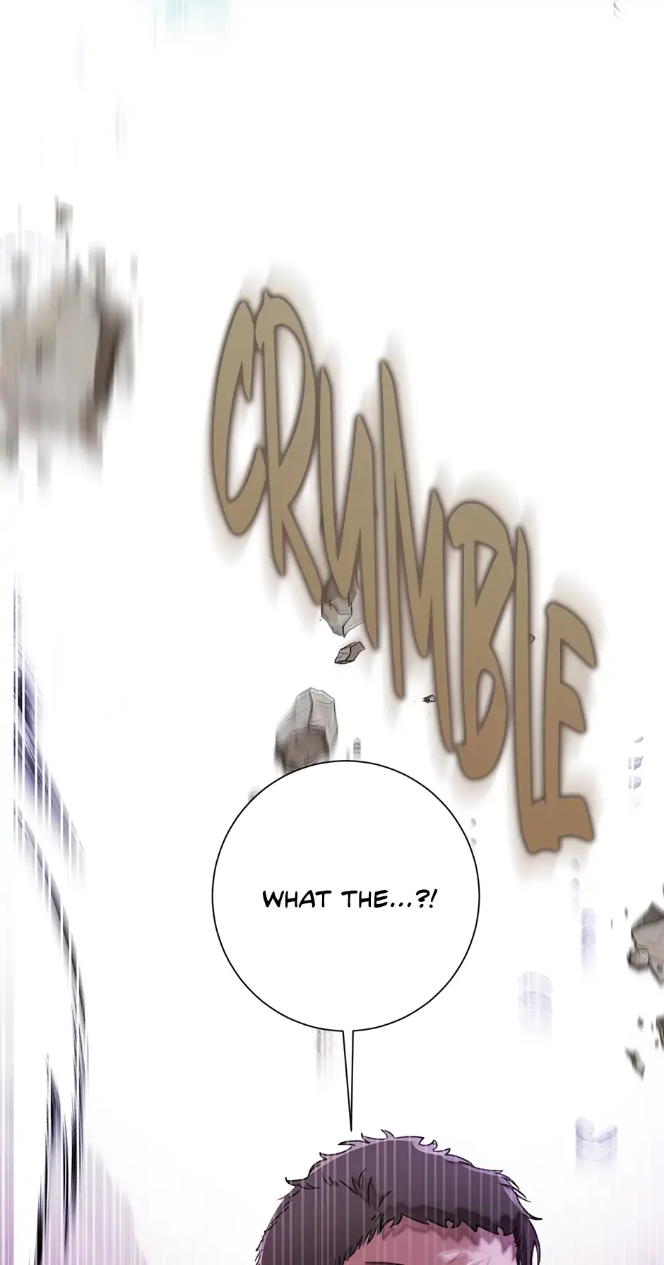 The Wallflower Who Was Proposed to by the Tyrant Chapter 37 page 84