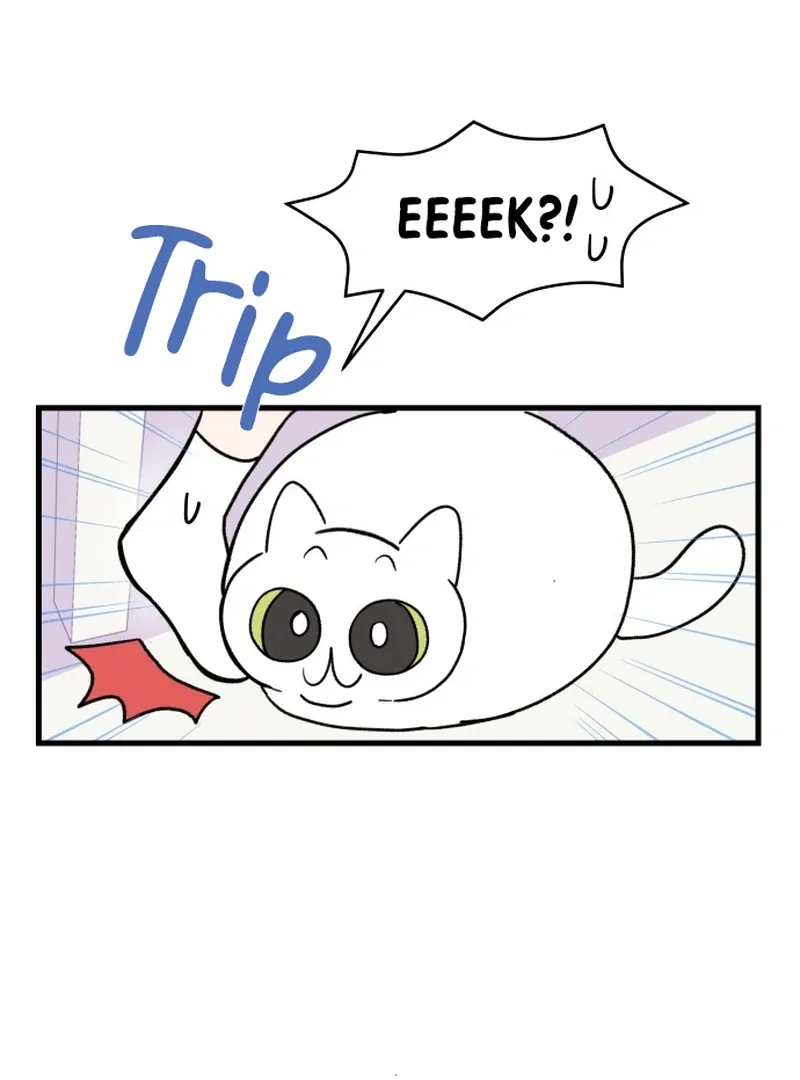 This Manhwa Ends When I Confess Chapter 9 page 42