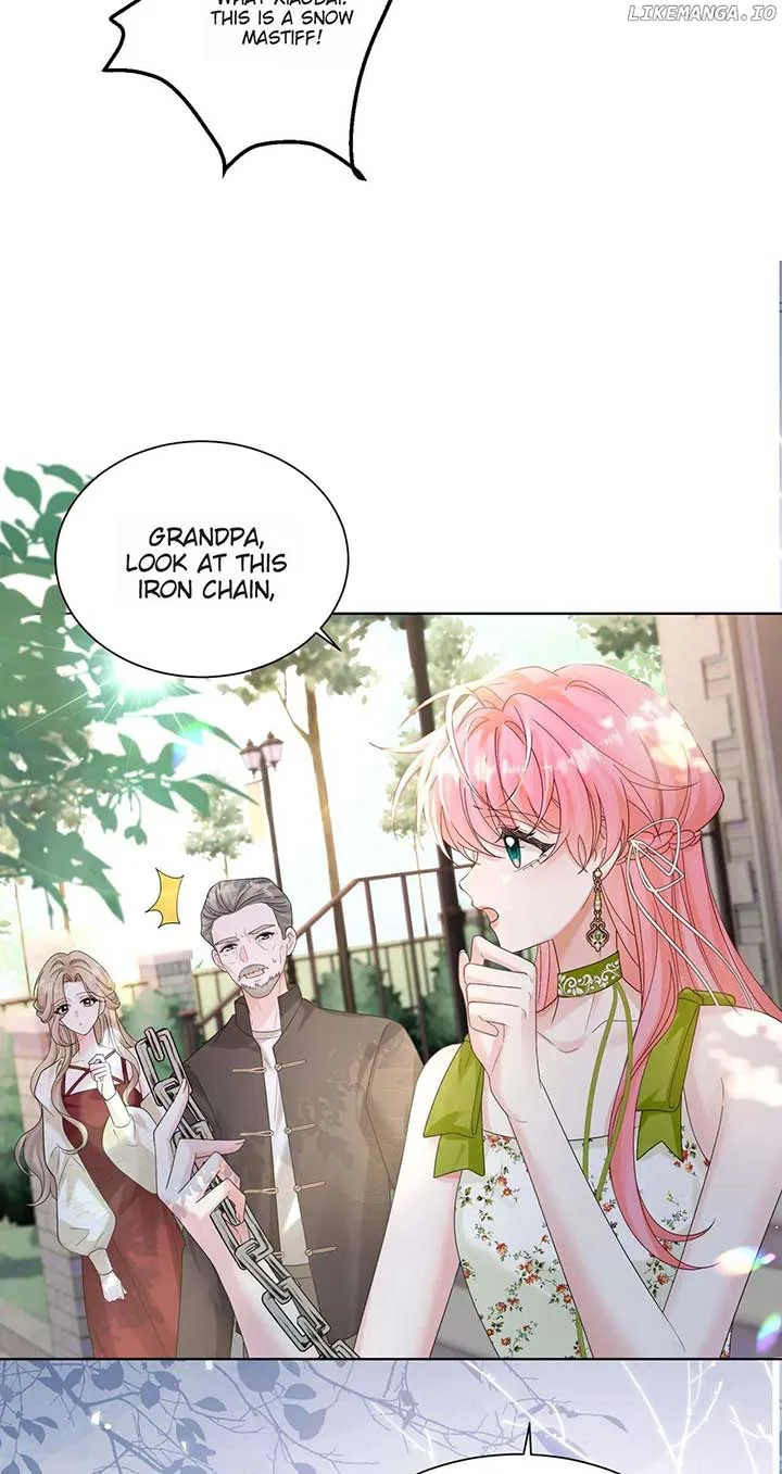 Transmigrating as the Younger Sister of a Bigshot with Multiple Identities Chapter 17 page 12