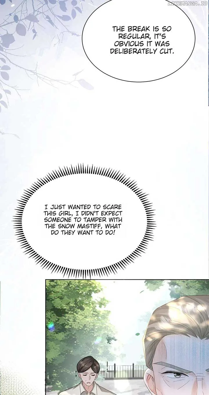 Transmigrating as the Younger Sister of a Bigshot with Multiple Identities Chapter 17 page 13
