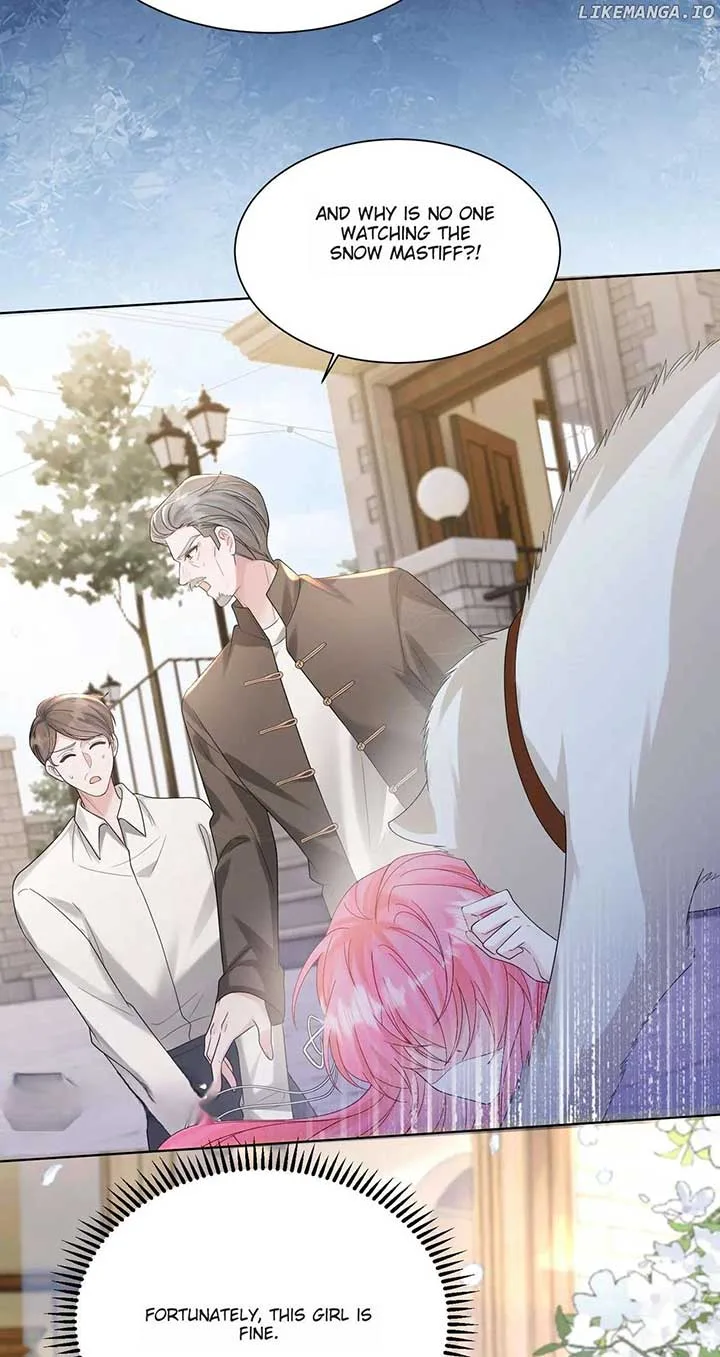 Transmigrating as the Younger Sister of a Bigshot with Multiple Identities Chapter 17 page 9