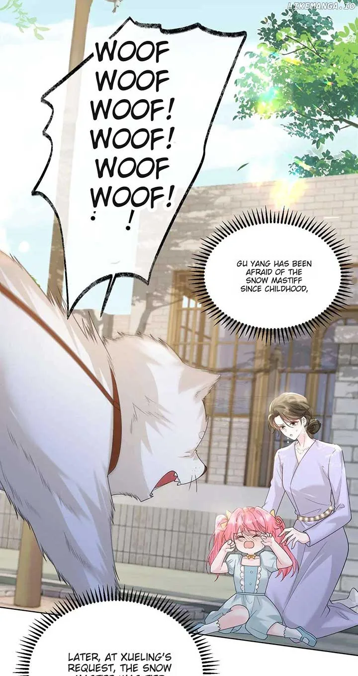 Transmigrating as the Younger Sister of a Bigshot with Multiple Identities Chapter 17 page 3
