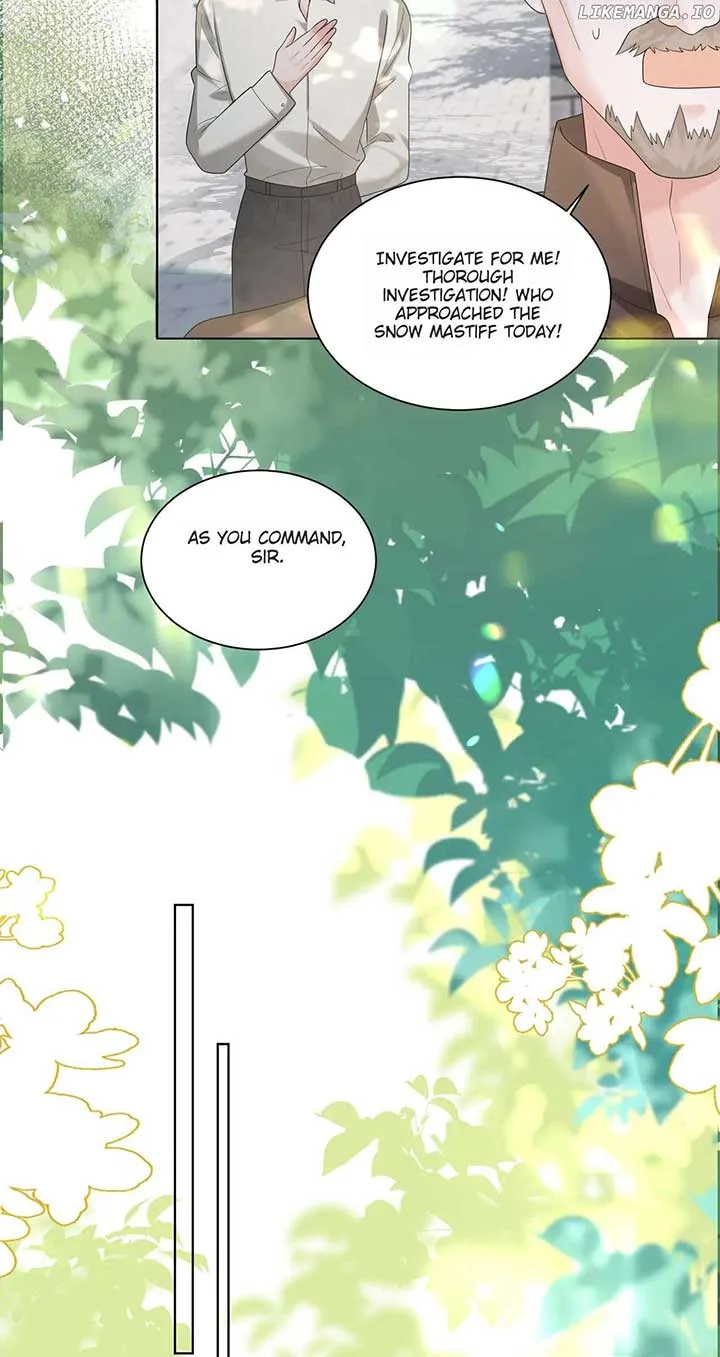 Transmigrating as the Younger Sister of a Bigshot with Multiple Identities Chapter 17 page 14