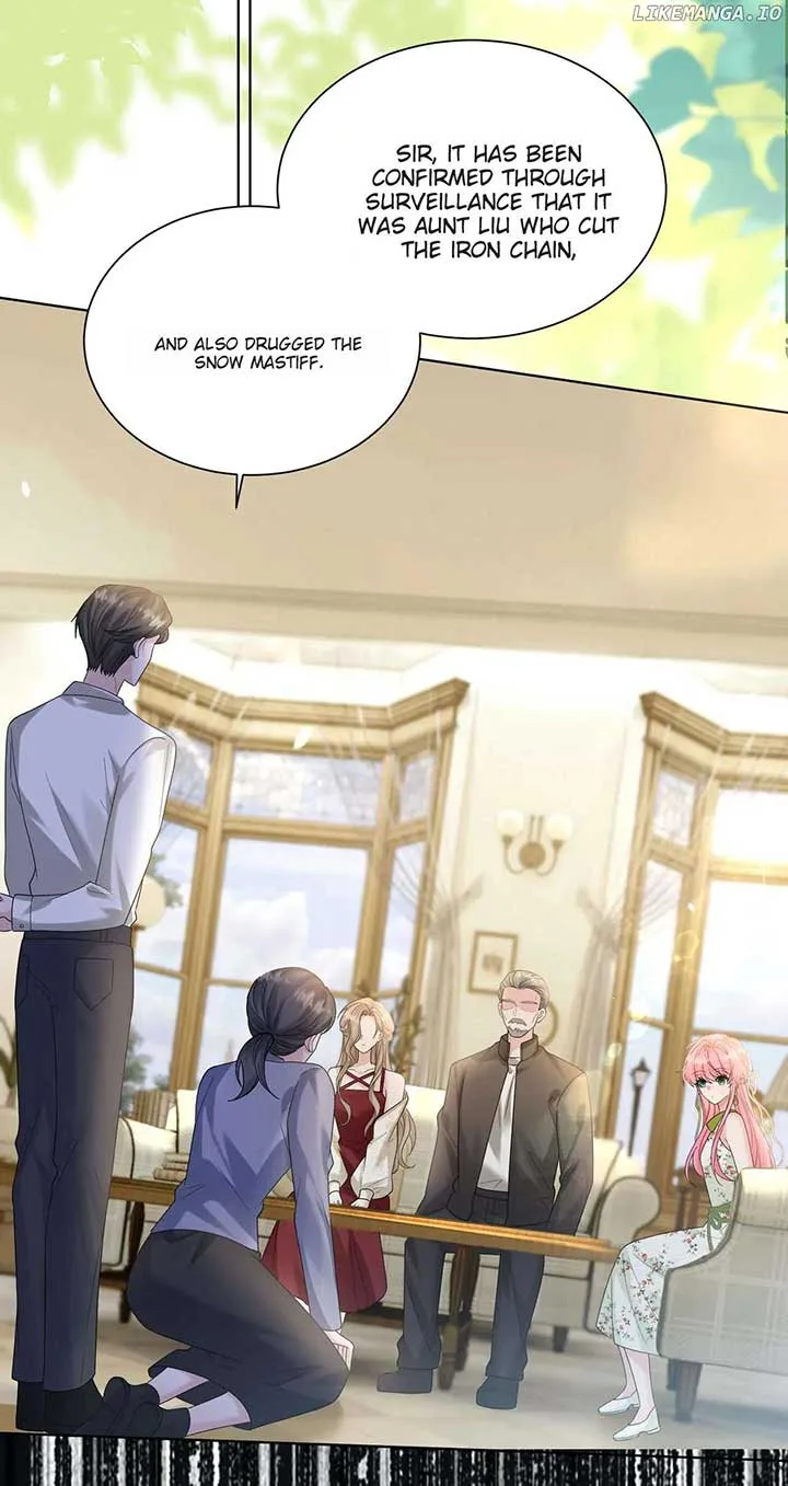 Transmigrating as the Younger Sister of a Bigshot with Multiple Identities Chapter 17 page 15