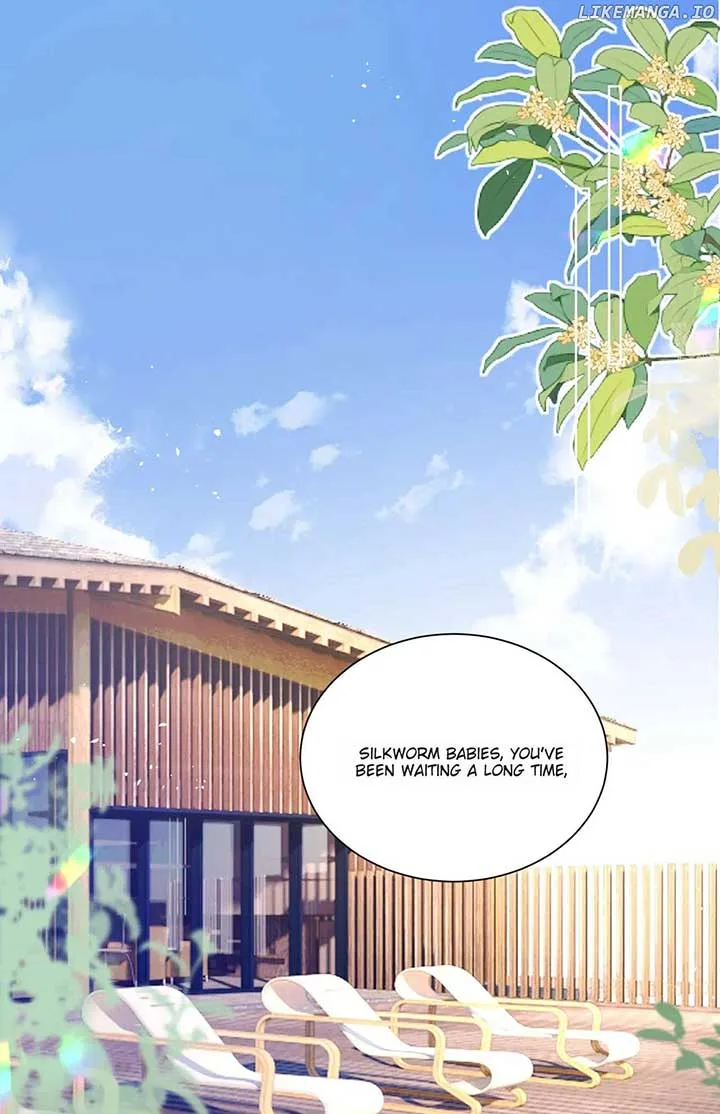 Transmigrating as the Younger Sister of a Bigshot with Multiple Identities Chapter 20 page 13