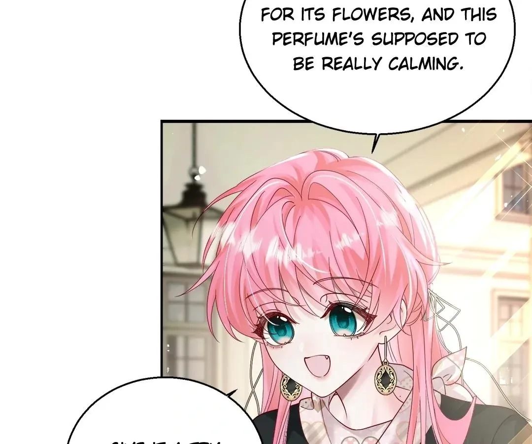 Transmigrating as the Younger Sister of a Bigshot with Multiple Identities Chapter 26 page 9