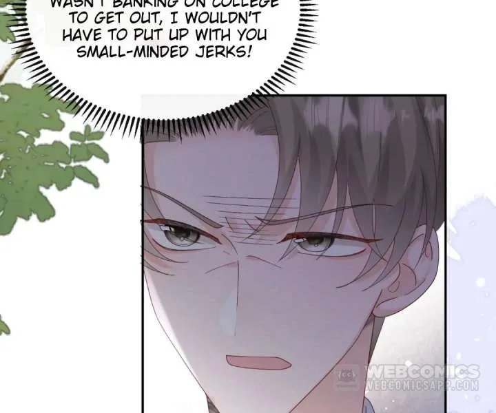 Transmigrating as the Younger Sister of a Bigshot with Multiple Identities Chapter 51 page 28