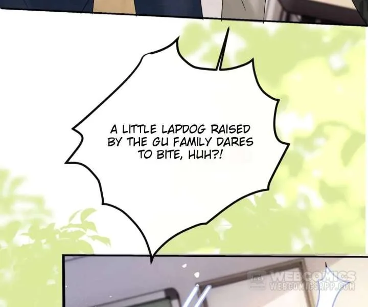 Transmigrating as the Younger Sister of a Bigshot with Multiple Identities Chapter 51 page 60