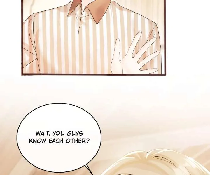 Transmigrating as the Younger Sister of a Bigshot with Multiple Identities Chapter 86 page 67