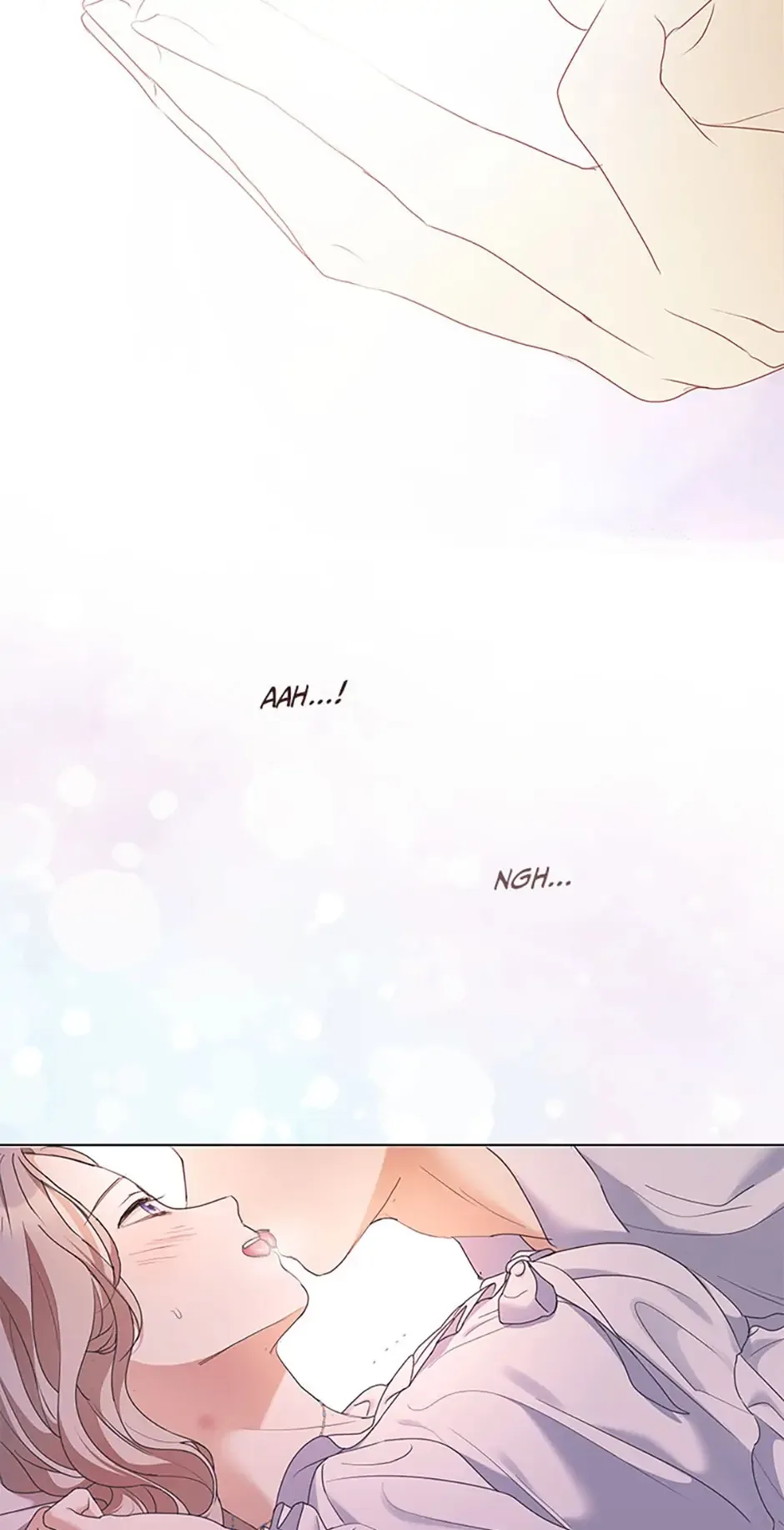 The Unwelcome Guests of House Fildette Chapter 65 page 17